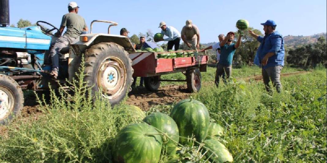 Türkiye’nin dört bir yanından akın ediyor, almak için saatlerce bekliyorlar! Üretici mutlu: Haftada 25 ton satıyorlar 5